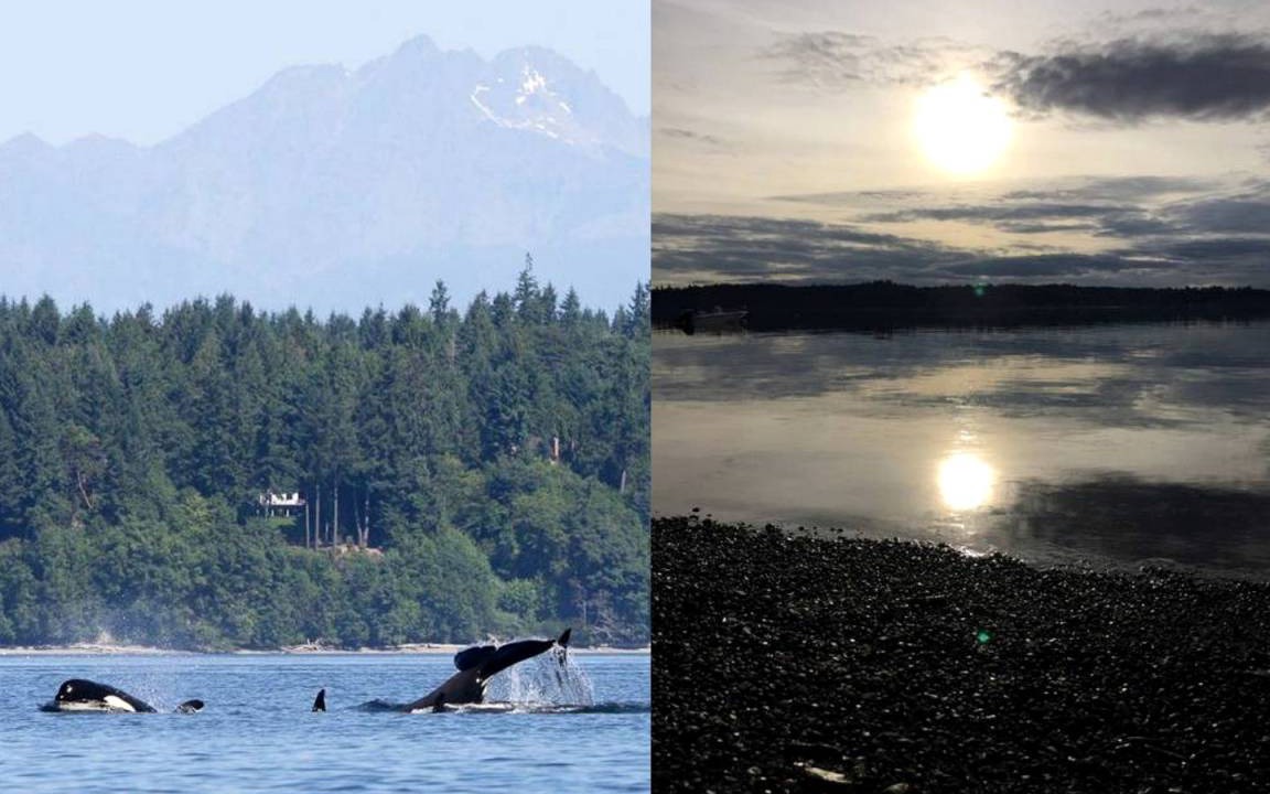 Photo of Others in Lakebay