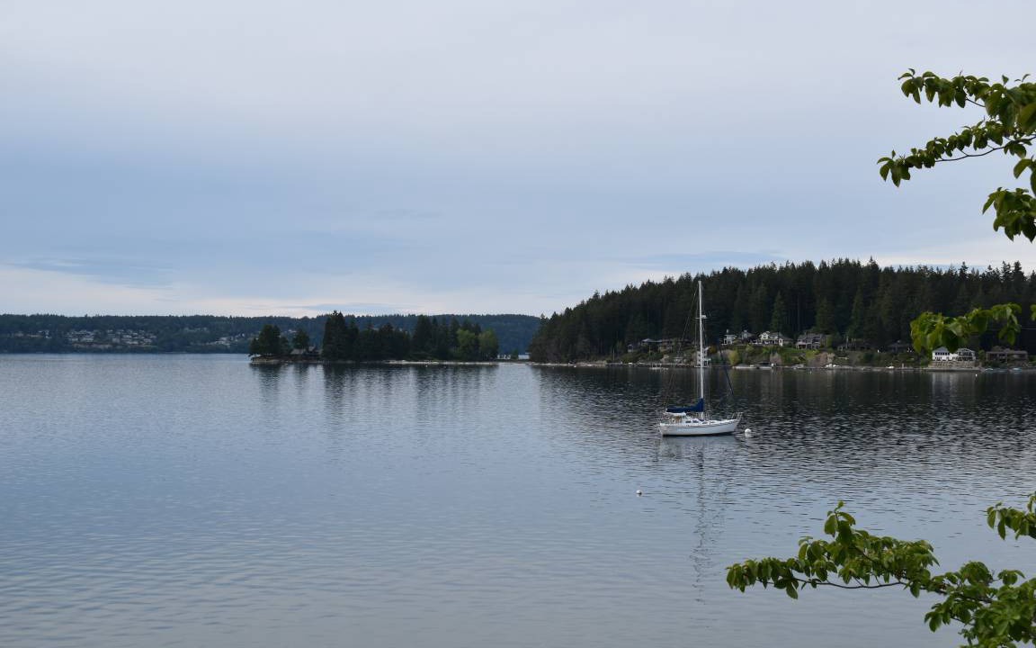 Photo of Others in Gig Harbor