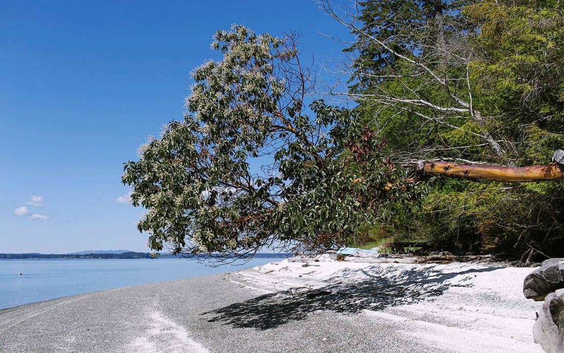 Photo of Others in Lakebay