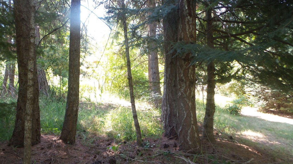 Photo of Others in Hayden View Estates