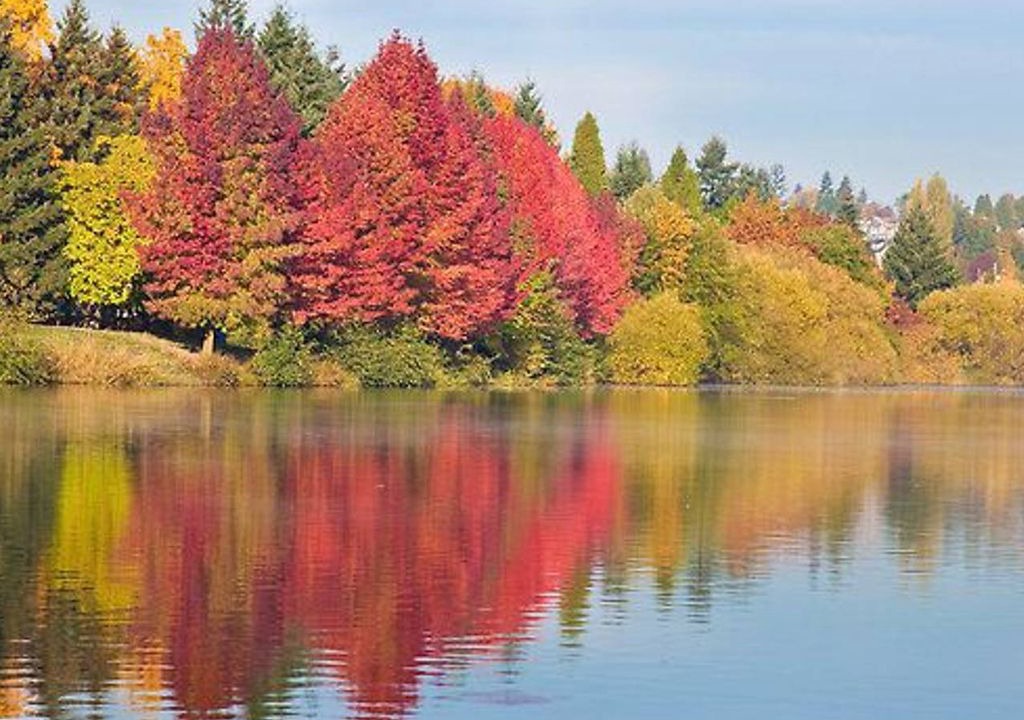 Photo of Outdoor in Green Lake