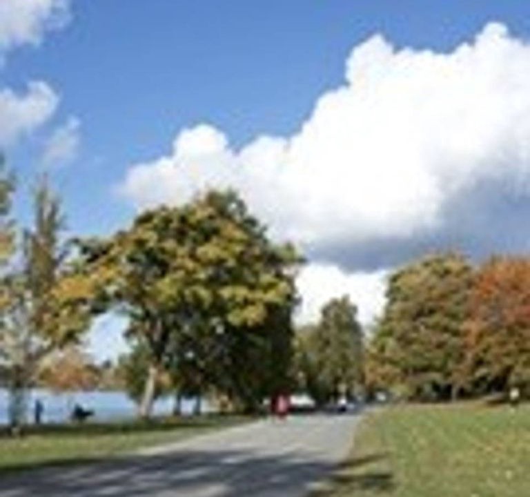 Photo of Others in Green Lake