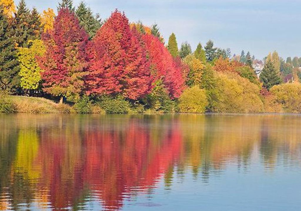 Photo of Outdoor in Green Lake