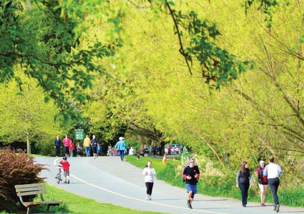 Photo of Human In Picture in Green Lake