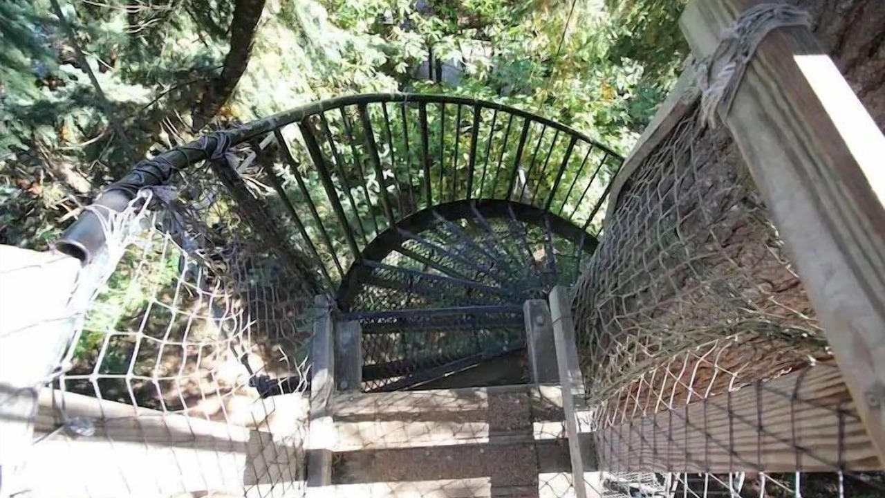 Photo of Outdoor in Cave Junction