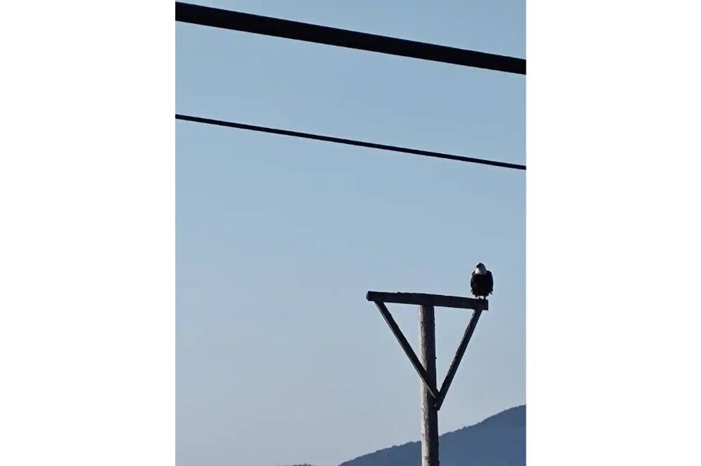 Photo of Others in Bellingham