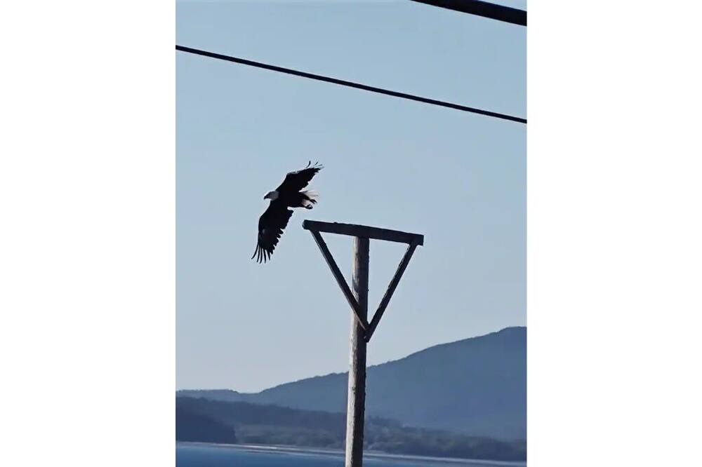 Photo of Others in Bellingham