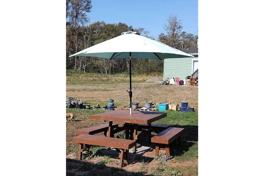 Photo of Others in Bellingham