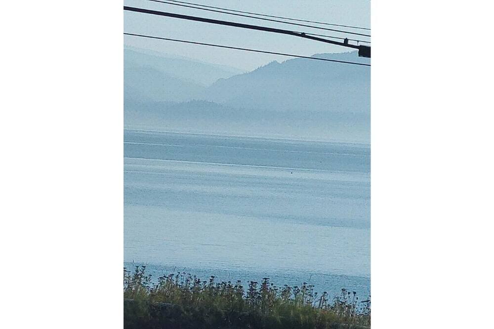 Photo of Others in Bellingham