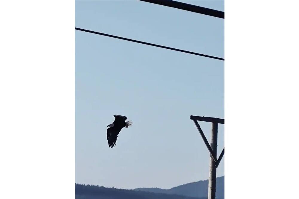Photo of Others in Bellingham