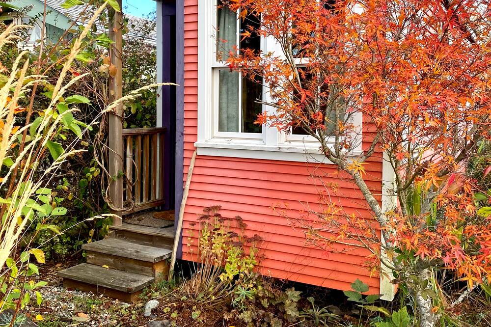 Photo of Outdoor in Point Roberts
