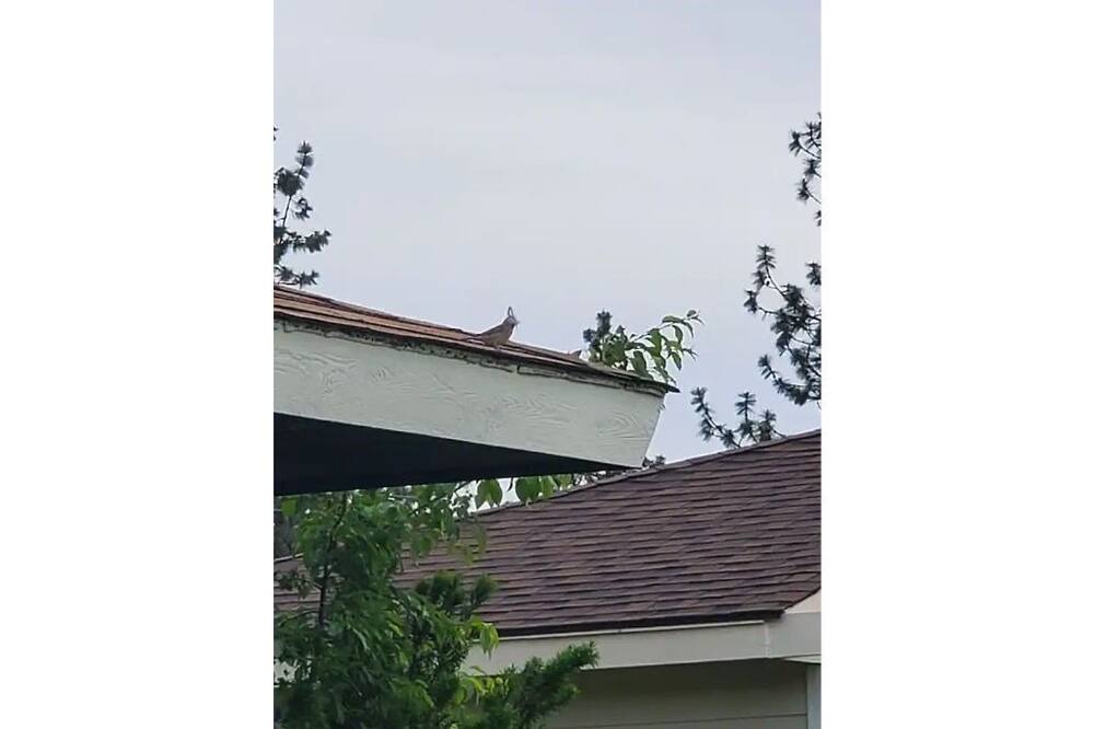 Photo of Others in Spokane