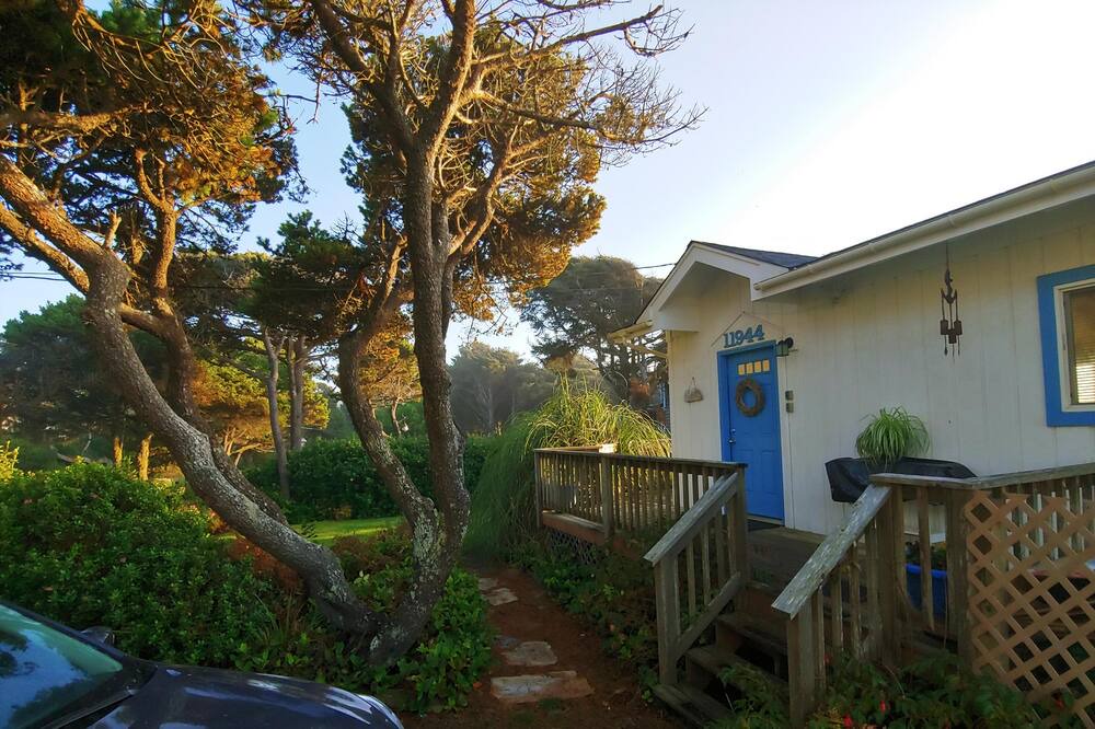 Photo of Outdoor in Oregon Coast