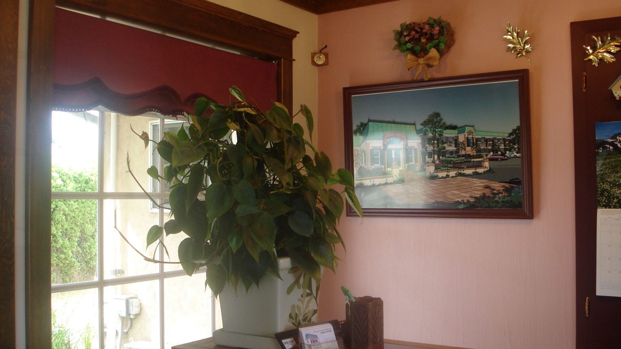 Photo of Others in Sequim