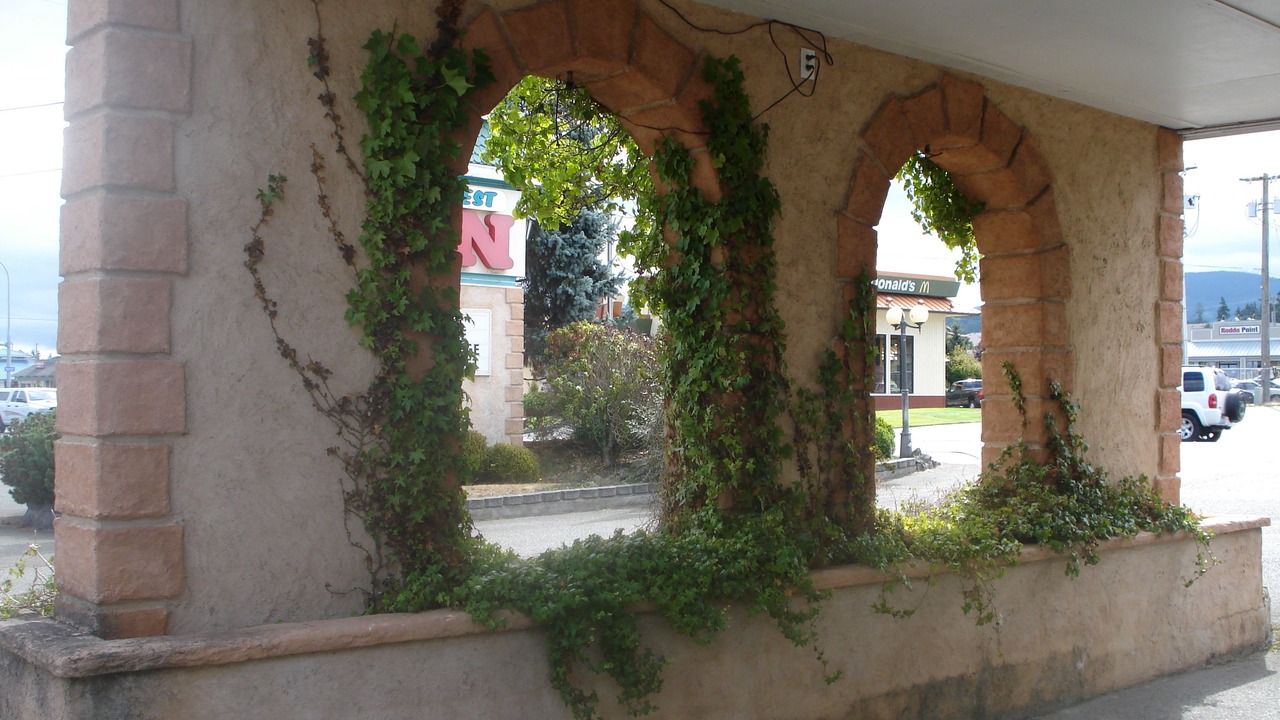 Photo of Others in Sequim