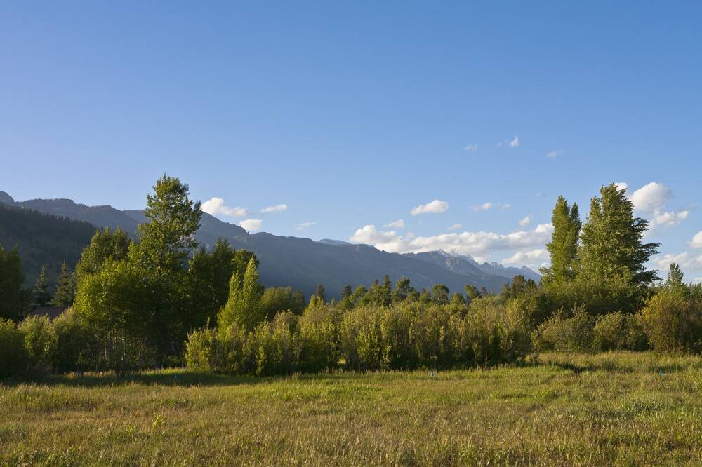 Photo of Outdoor in Wilson
