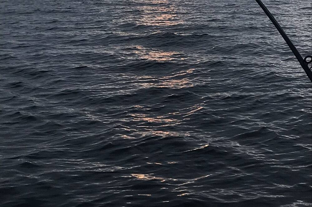 Photo of Others in Camano Island