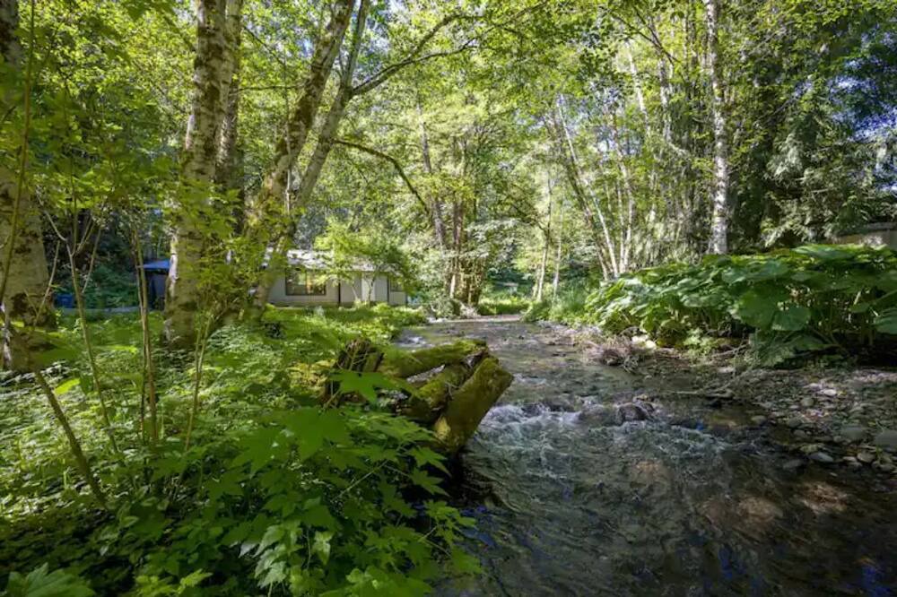 Photo of Outdoor in Hoodsport