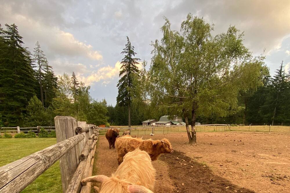 Photo of Outdoor in Cook