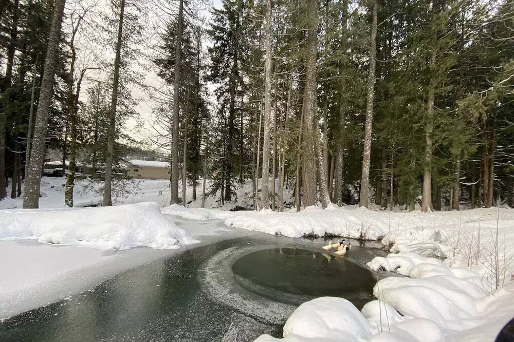 Photo of Others in Cook