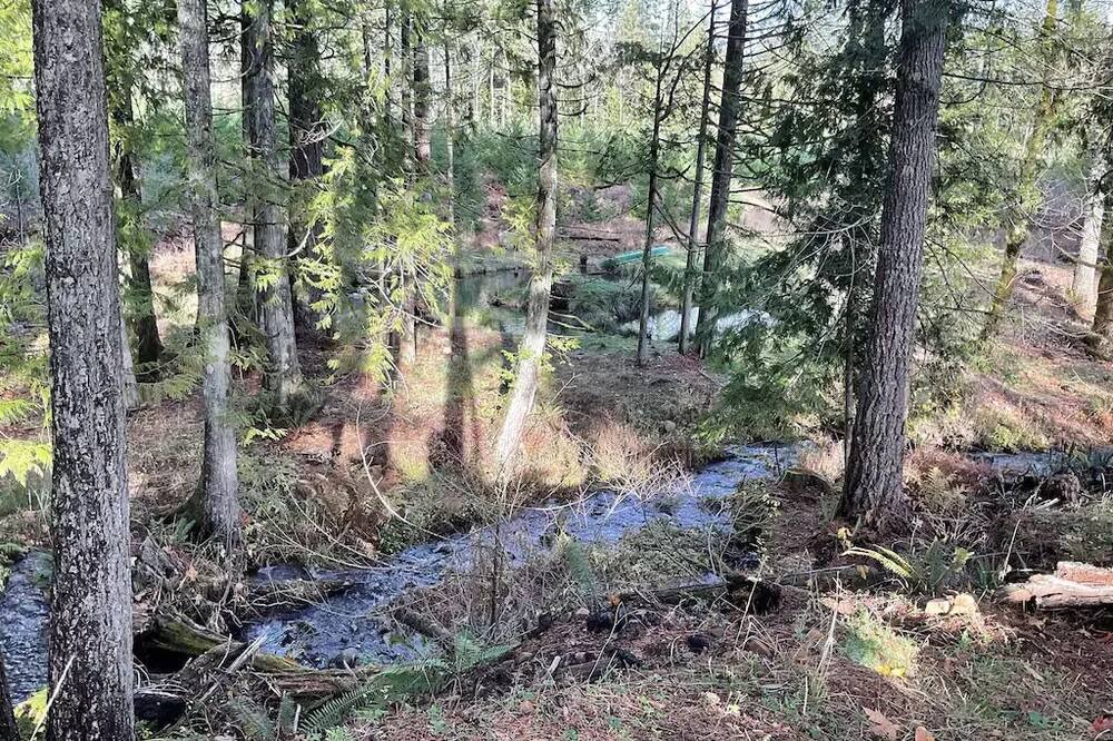 Photo of Outdoor in Cook