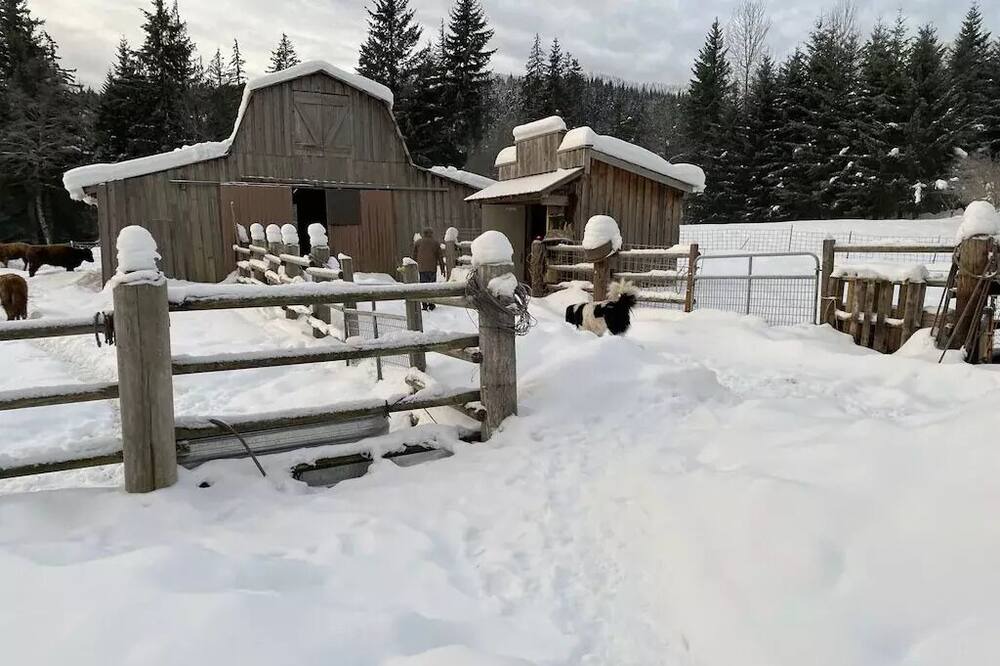 Photo of Outdoor in Cook
