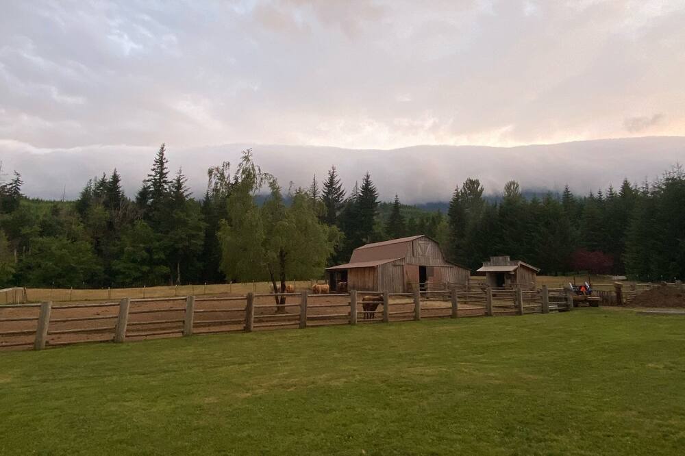Photo of Outdoor in Cook