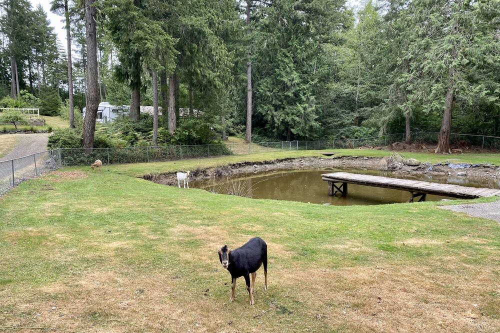 Photo of Outdoor in Silverdale