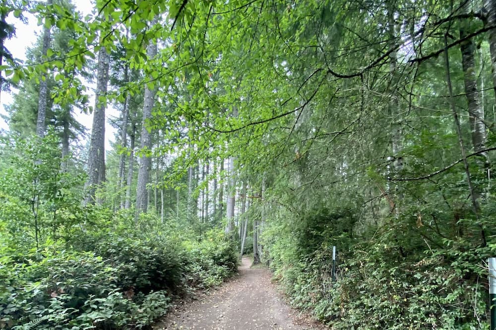 Photo of Outdoor in Silverdale