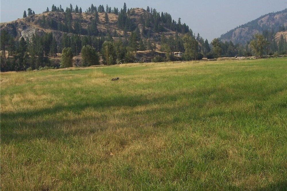 Photo of Outdoor in Curlew