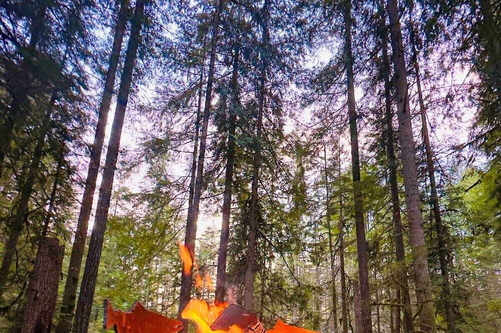 Photo of Outdoor in Warnick