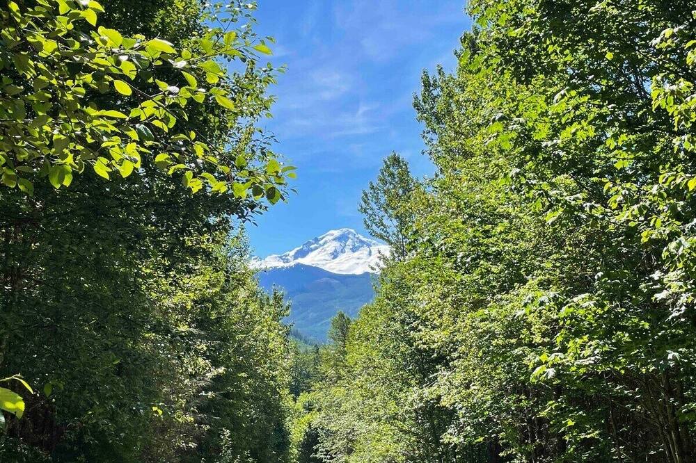 Photo of Outdoor in Warnick