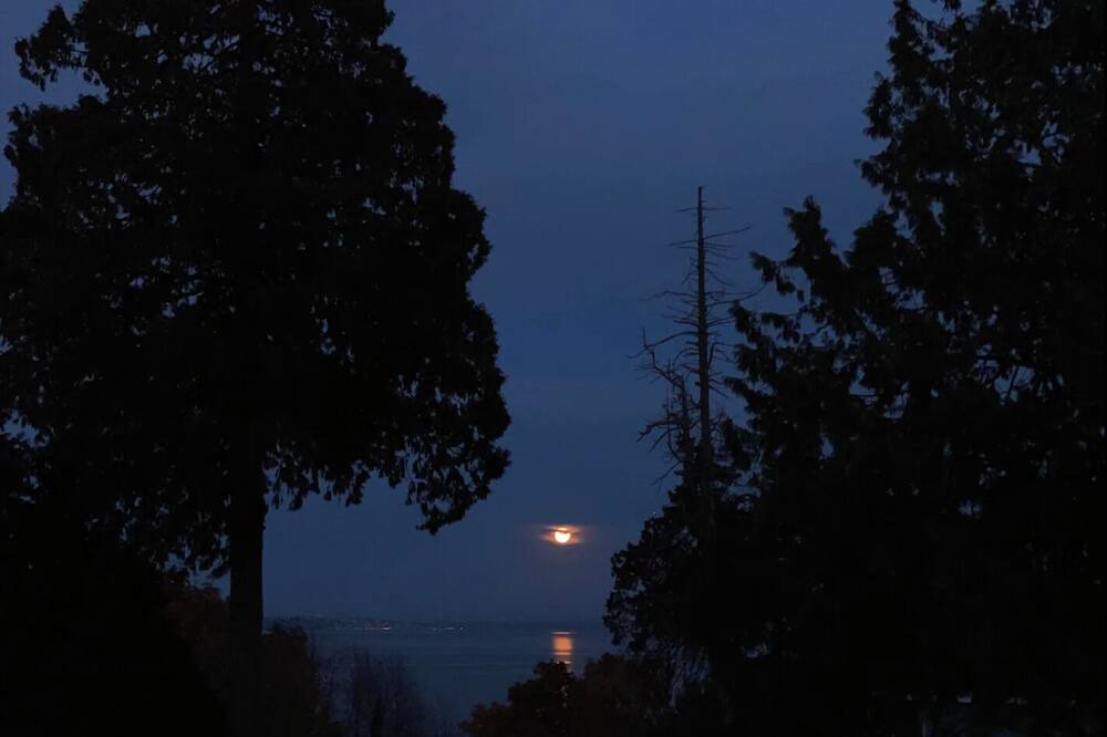 Photo of Outdoor in Point Roberts