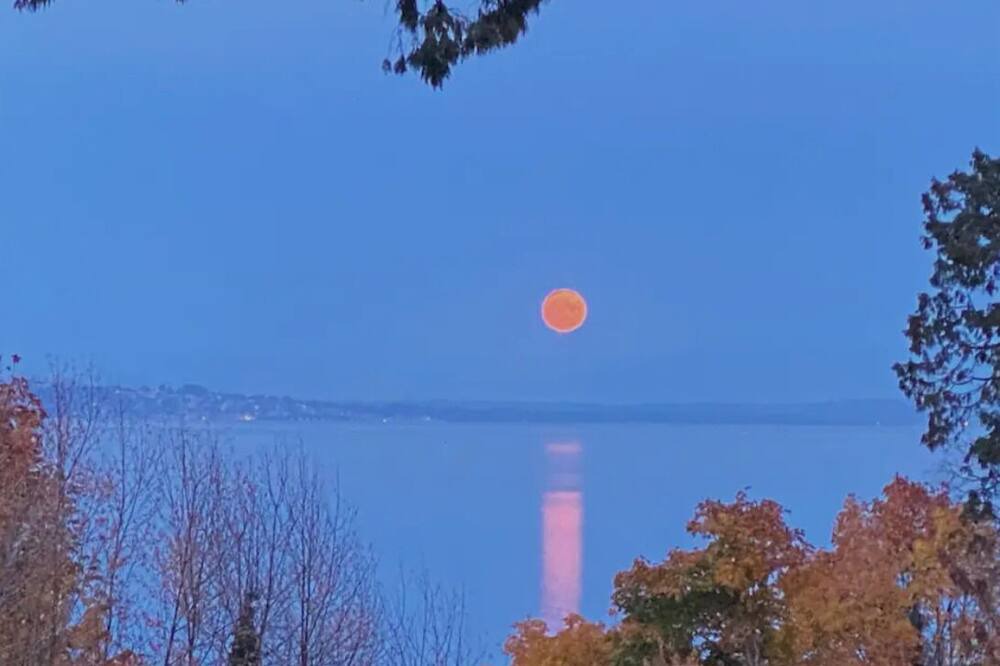 Photo of Others in Point Roberts