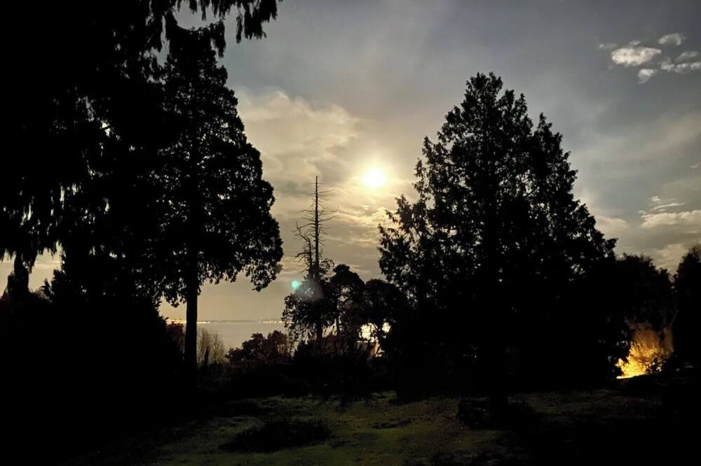Photo of Others in Point Roberts