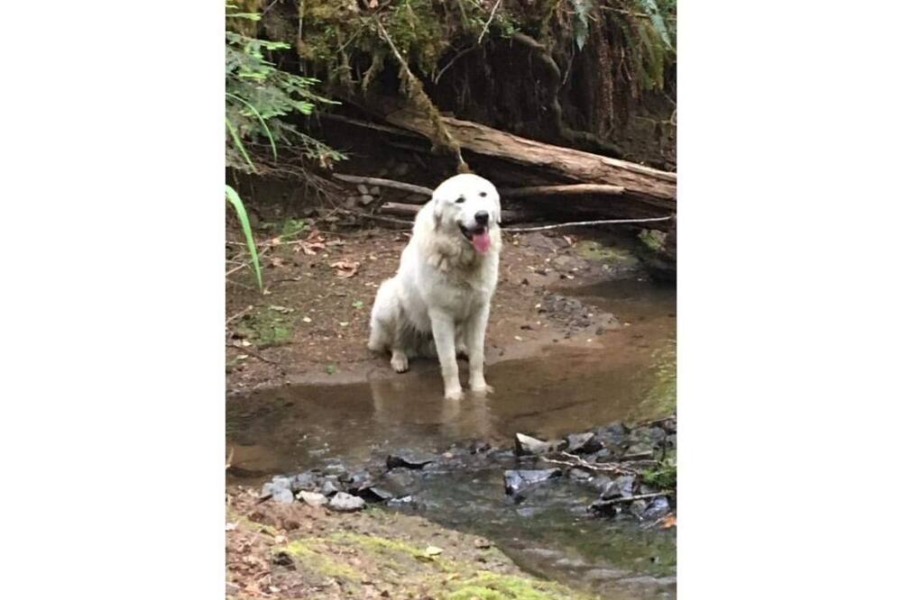 Photo of Others in Days Creek