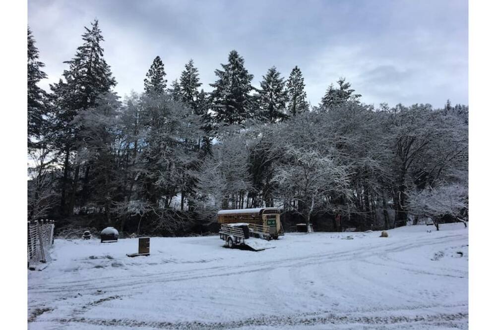 Photo of Outdoor in Days Creek