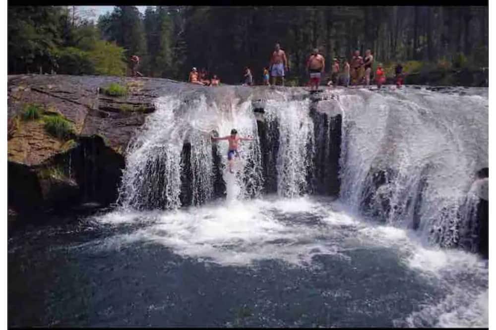 Photo of Outdoor in Days Creek