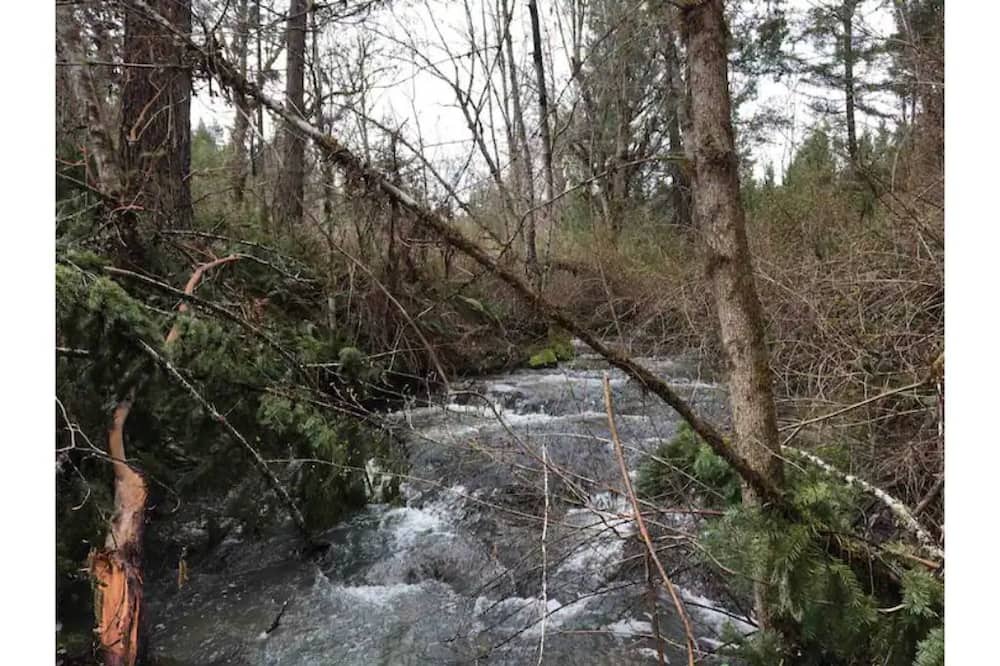 Photo of Outdoor in Days Creek