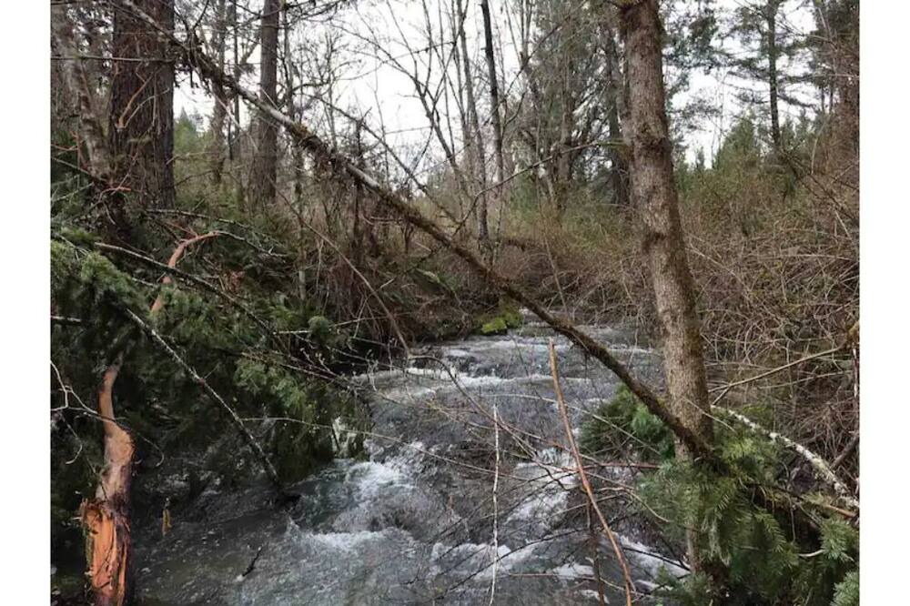 Photo of Outdoor in Days Creek