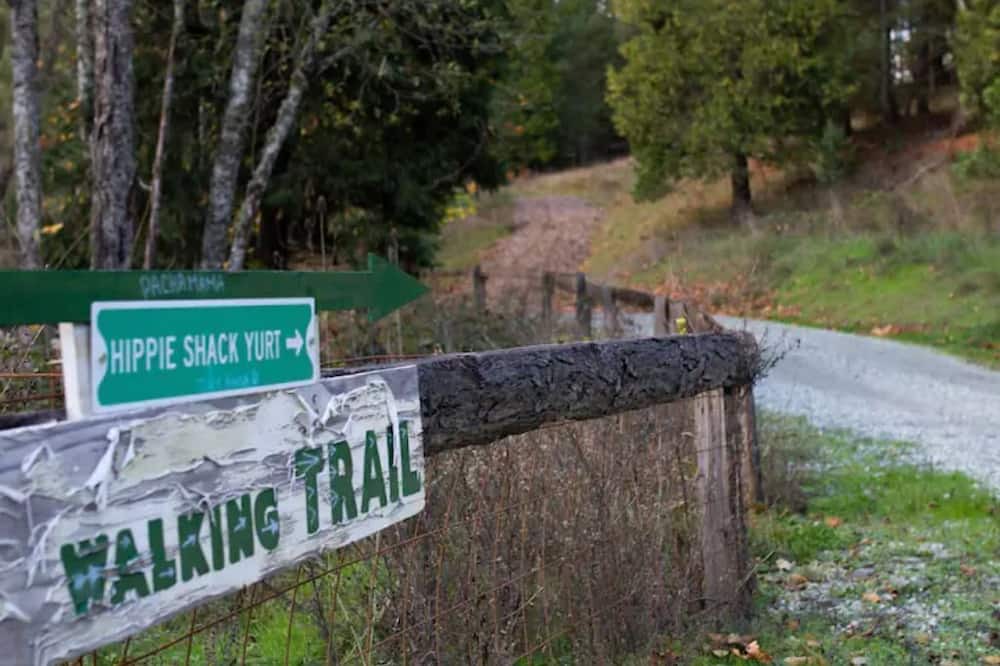 Photo of Outdoor in Days Creek