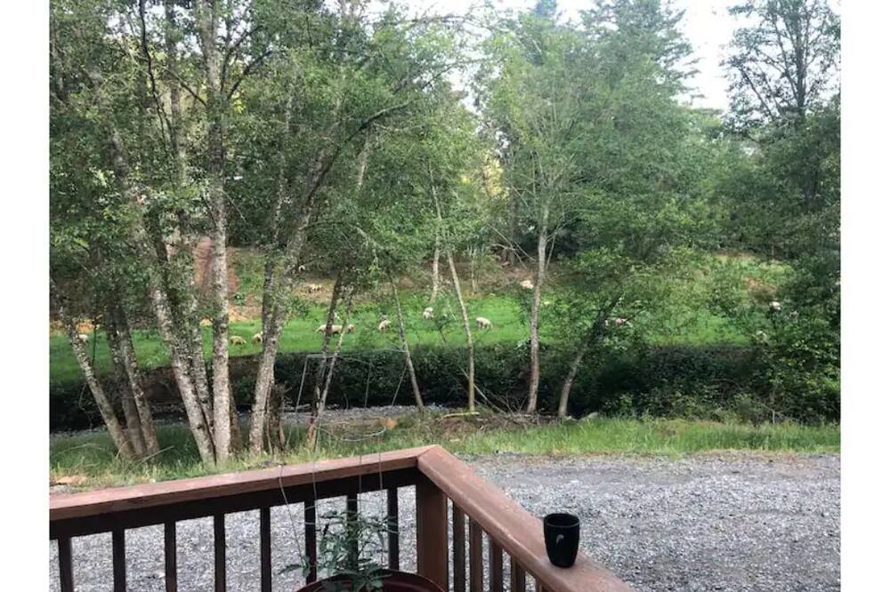 Photo of Outdoor in Days Creek
