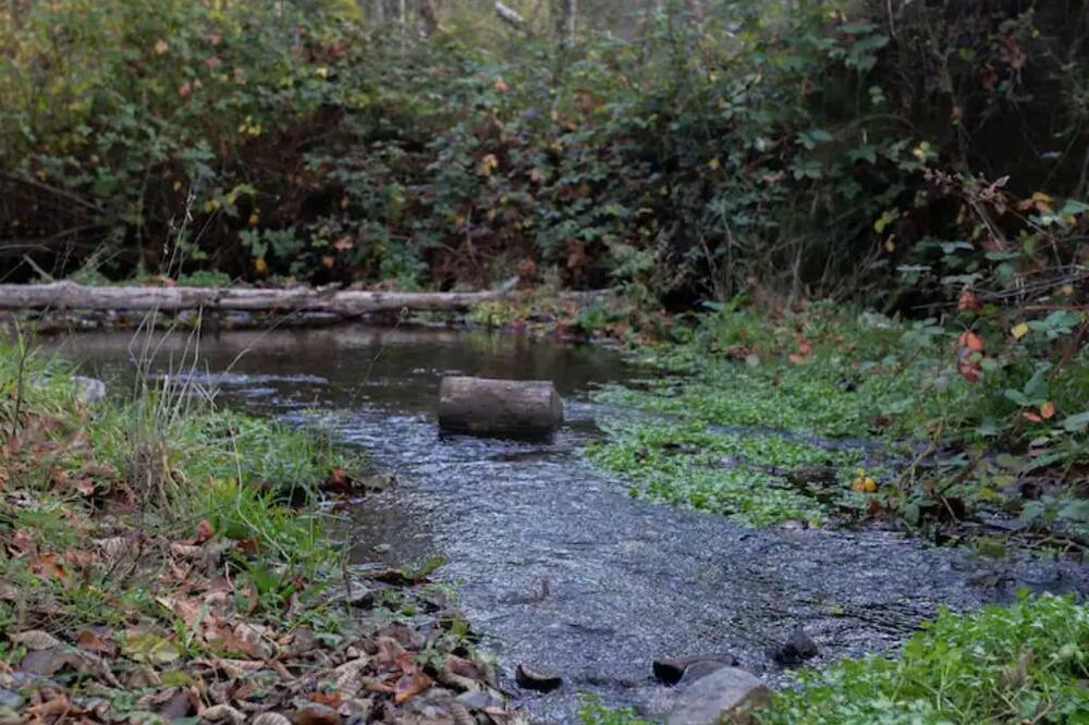 Photo of Outdoor in Days Creek