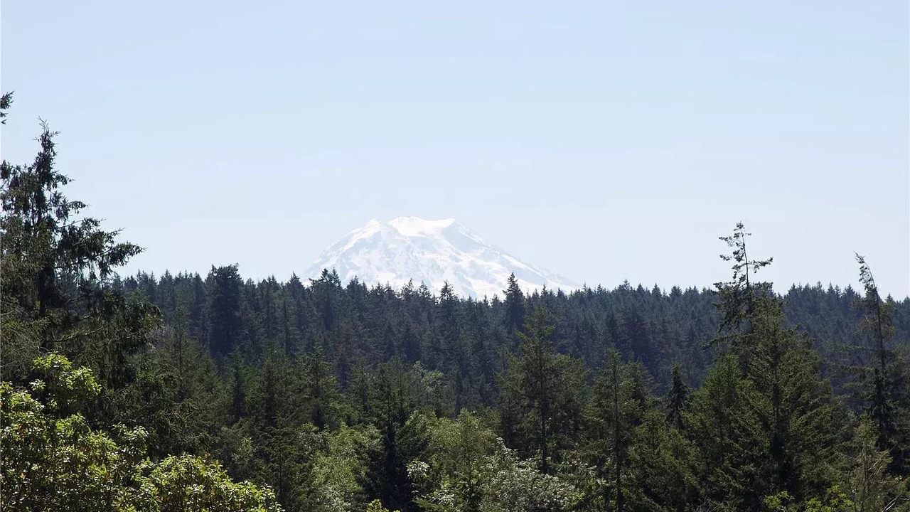 Photo of Outdoor in Anderson Island
