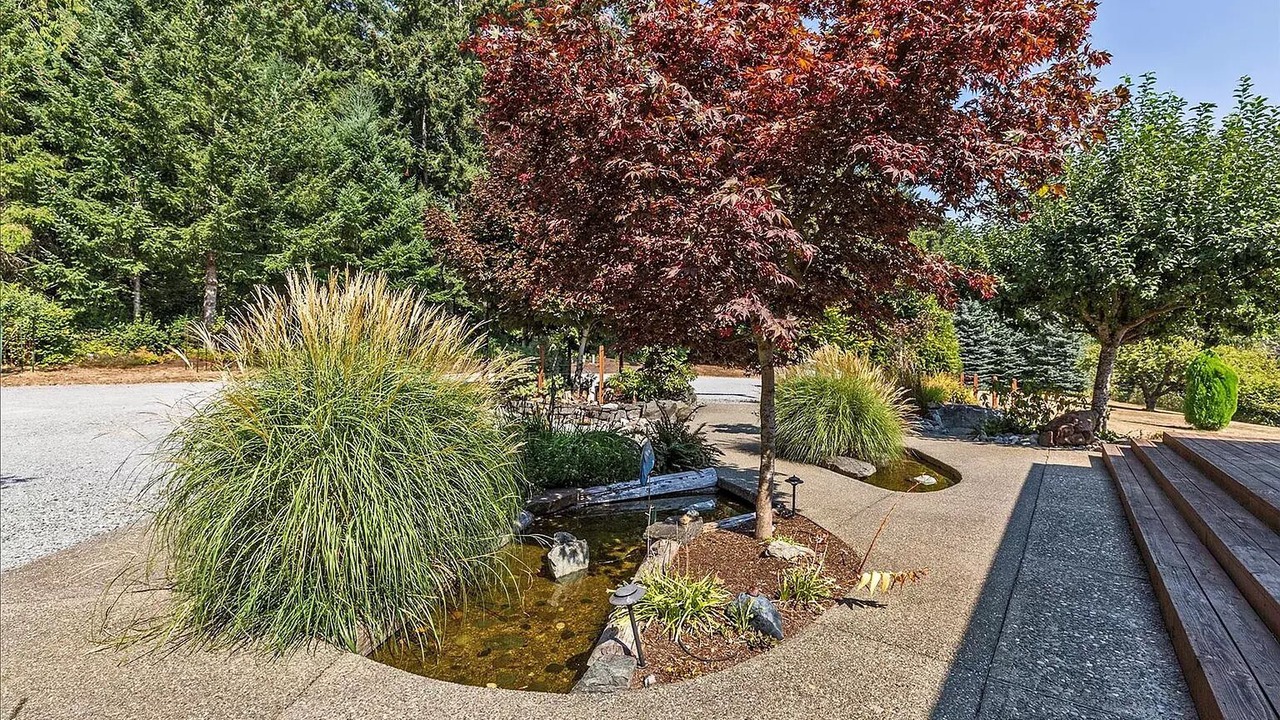 Photo of Outdoor in Anderson Island