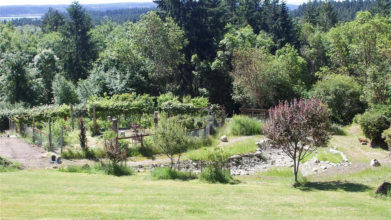 Photo of Outdoor in Anderson Island