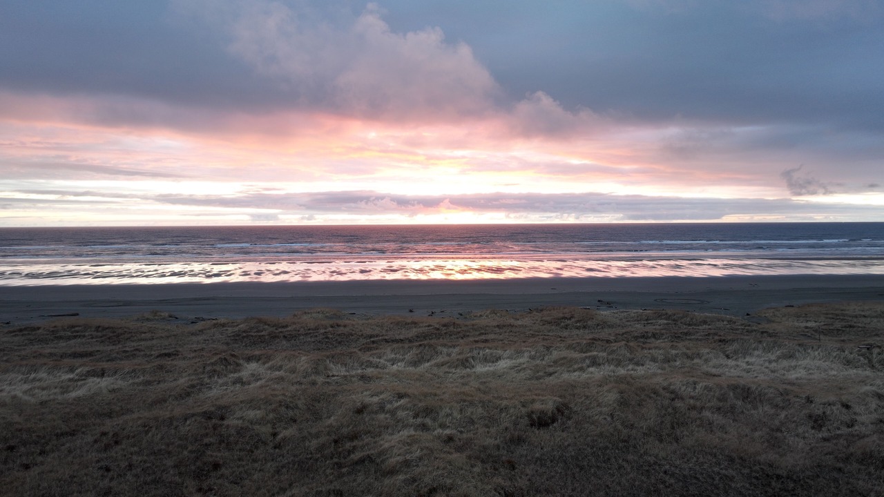 Photo of Others in Copalis Beach