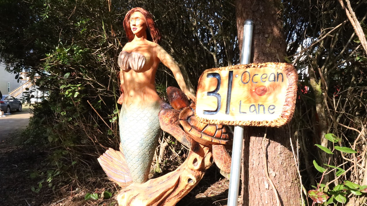 Photo of Outdoor in Copalis Beach