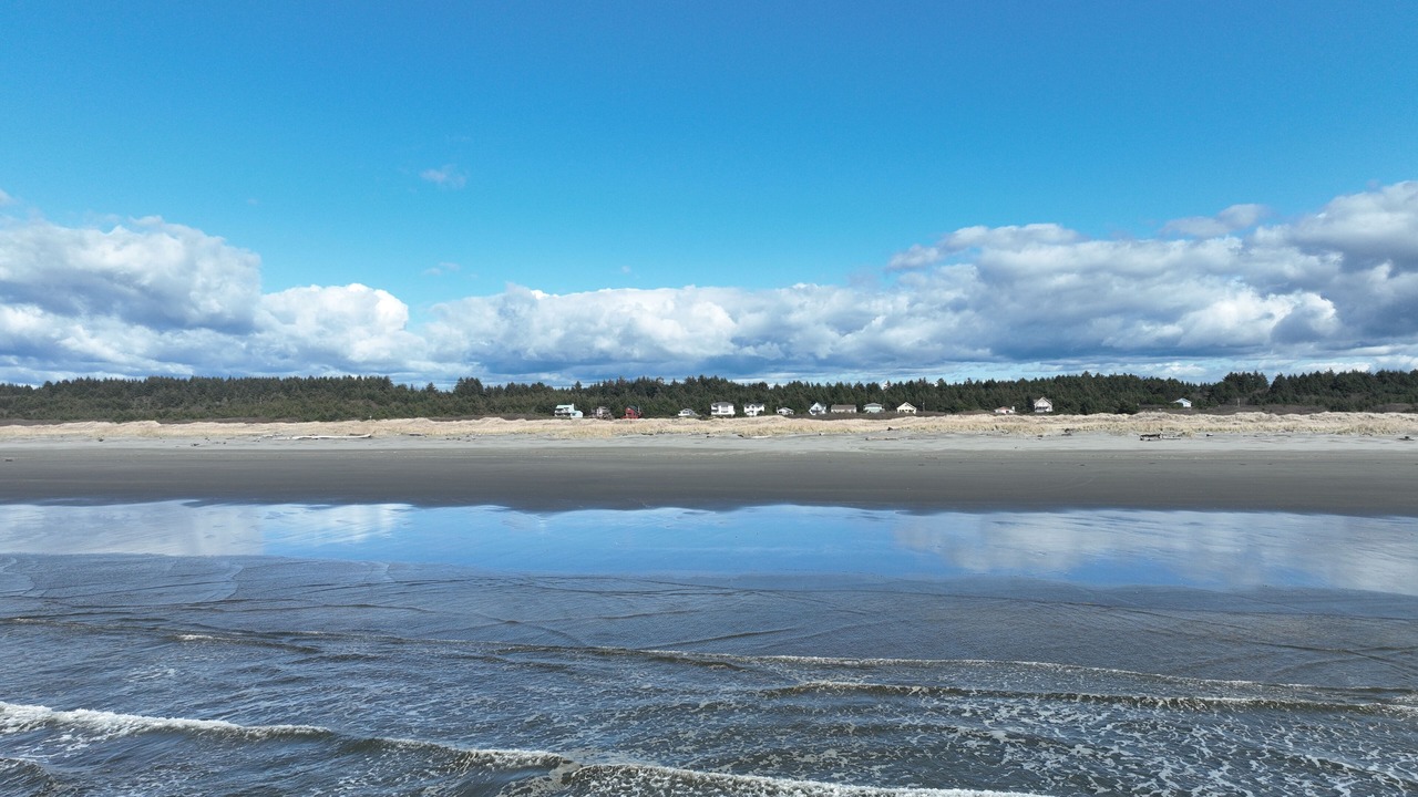 Photo of Others in Copalis Beach