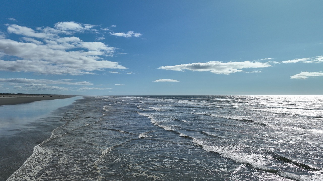Photo of Others in Copalis Beach